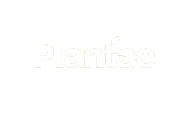 Prancheta 2